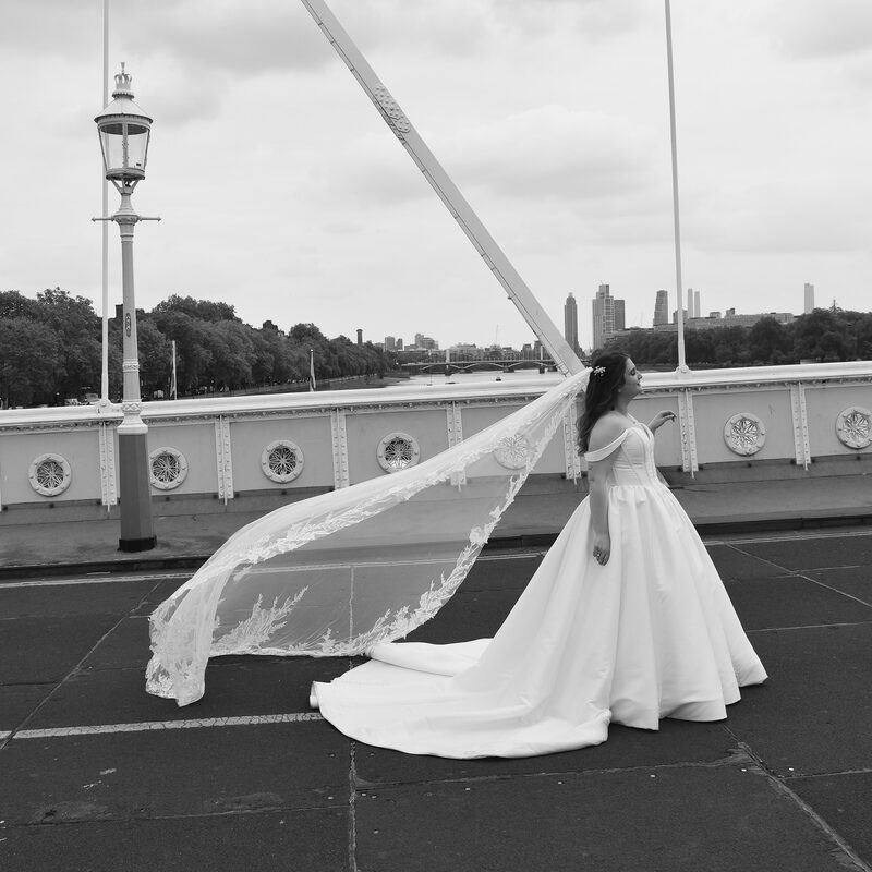 Bride with veil